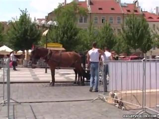 Două sportivi suge și la dracu fiecare alții trepidant shafts