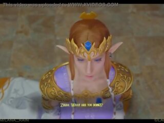 Princese zelda meets viņai jauns karalis