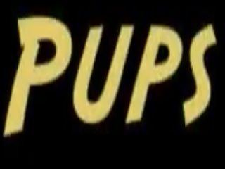 Guma gimp puppy pes mov