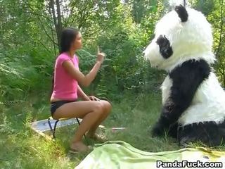 X nenn video im die wald mit ein riesig spielzeug panda