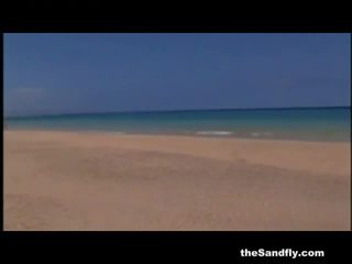 Thesandfly la plage sexfiles