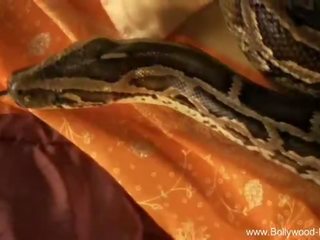 Bollywood nakna: liten och nätt dotter kitslig med snake bollywood stil