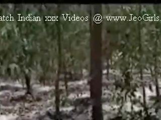 Džungle dospělý video