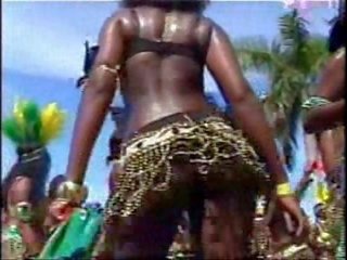 迈阿密 vice carnival 2006 iv