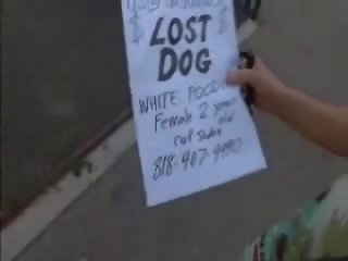 Help her find Fluffy!